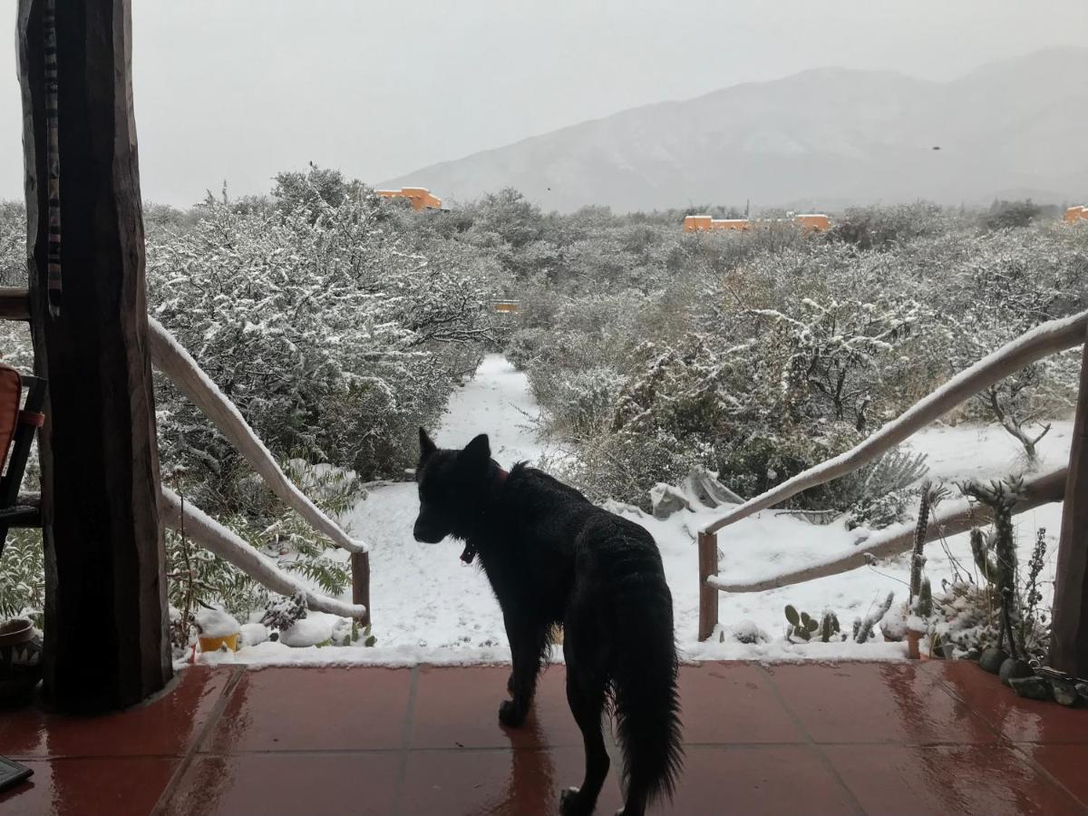 קאפילה דל מונטה Cabanas Taos Pueblo מראה חיצוני תמונה